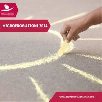 microerogazioni-2024